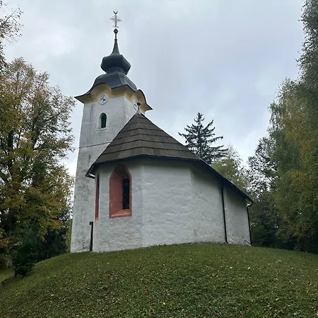 Barbra - Robinson Life Apartment