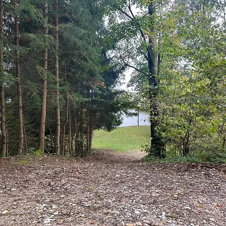 Barbra - Robinson Life * Slovenj Gradec