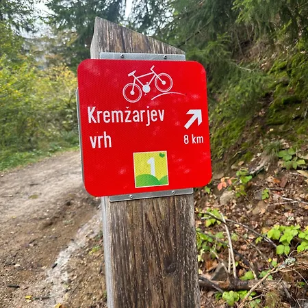 Barbra - Robinson Life * Slovenj Gradec