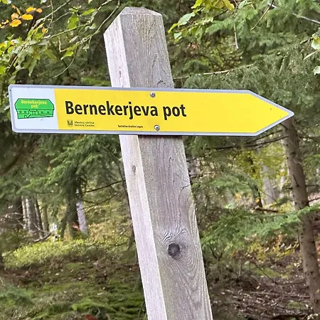 Barbra - Robinson Life