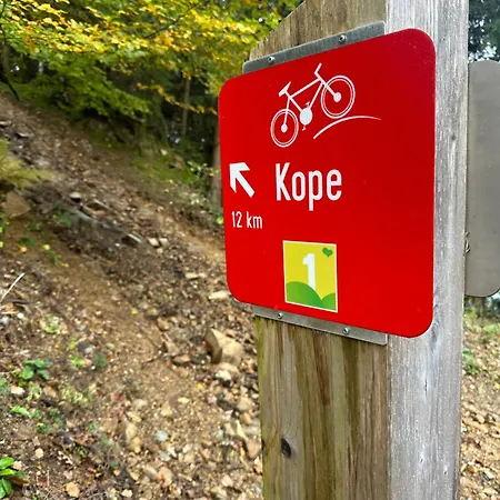 Apartment Barbra - Robinson Life Slovenj Gradec