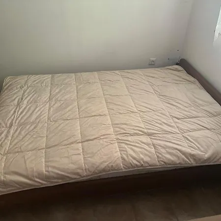 Barbra - Robinson Life