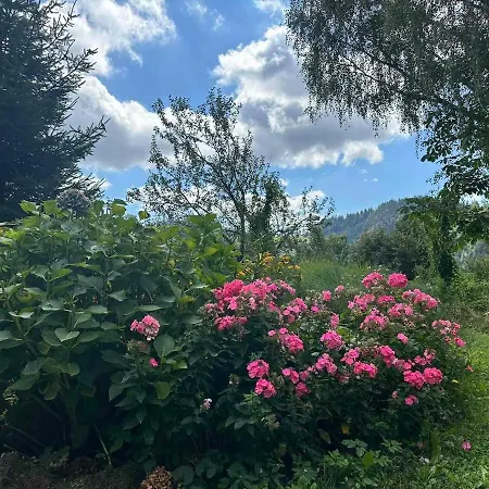 Apartment Barbra - Robinson Life