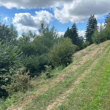 Apartment Barbra - Robinson Life *