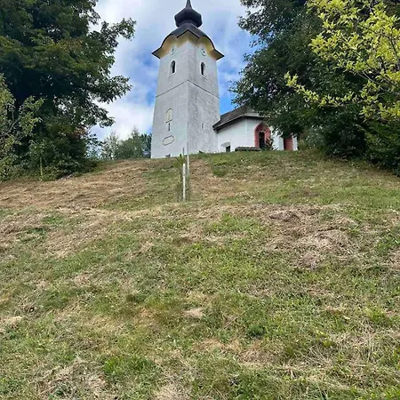 Barbra - Robinson Life Apartment *