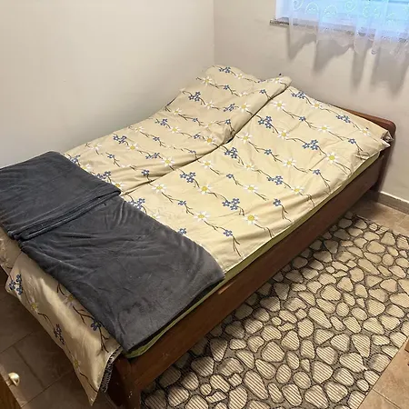 Barbra - Robinson Life *