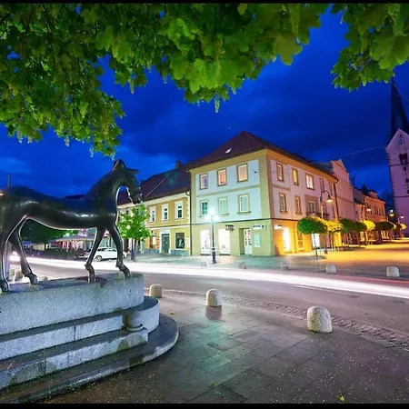 Barbra - Robinson Life