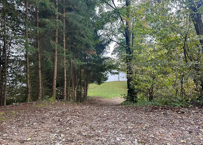 Barbra - Robinson Life * Slovenj Gradec