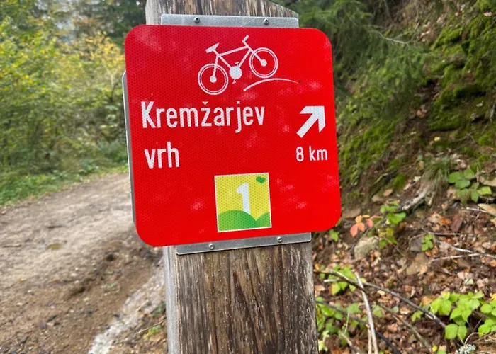 Barbra - Robinson Life * Slovenj Gradec