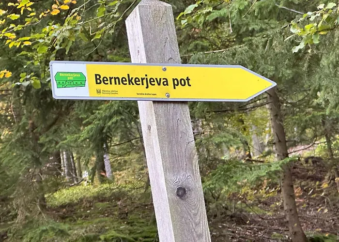 Barbra - Robinson Life