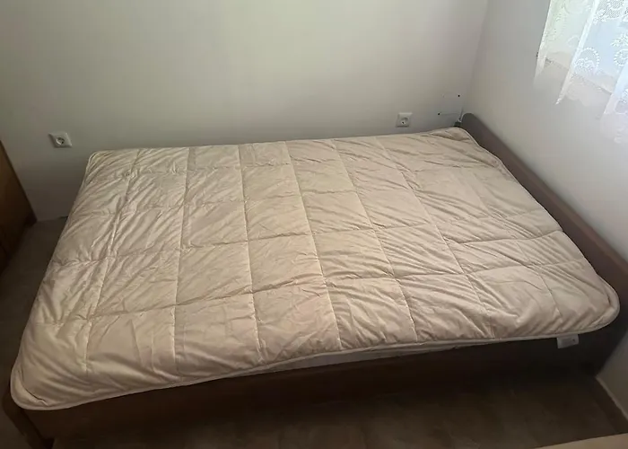 Barbra - Robinson Life