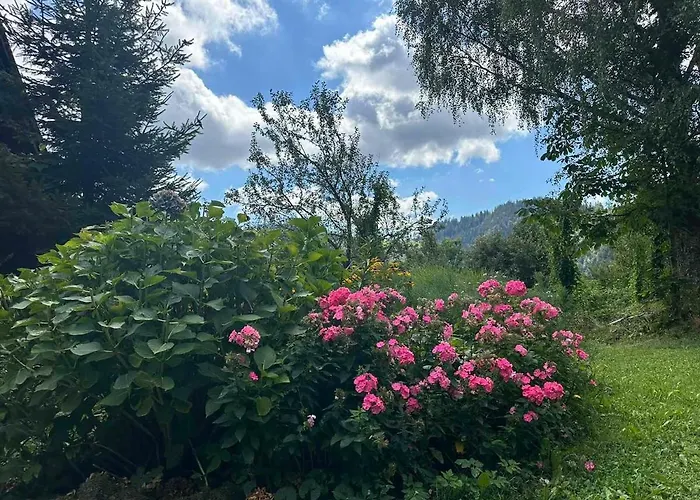 Appartamento Barbra - Robinson Life