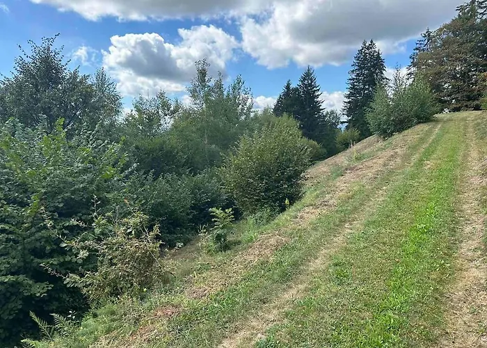 Appartamento Barbra - Robinson Life *