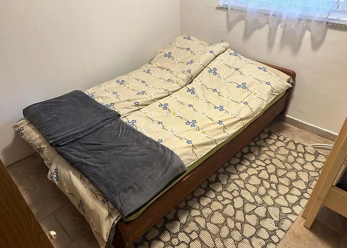 Barbra - Robinson Life *