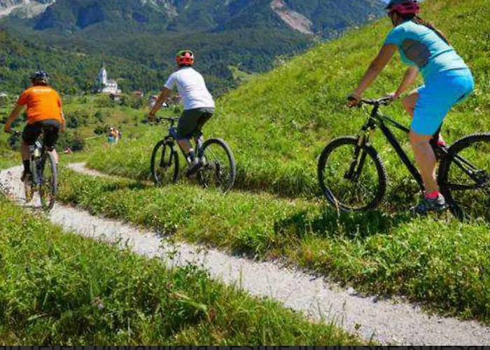 Barbra - Robinson Life * Slovenj Gradec